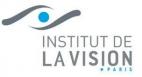 Institut de la vision