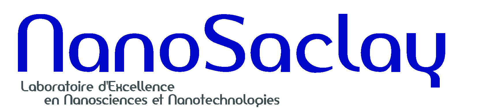 Logo nanosaclay2