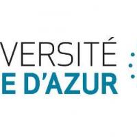 Université Côte d'Azur